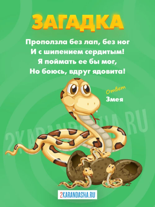Загадки Змея