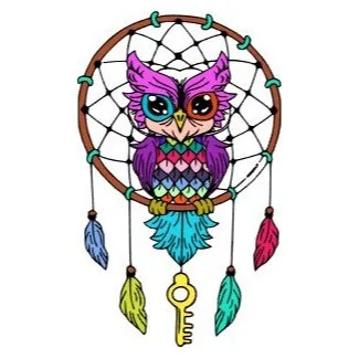 Цветной вариант раскраски ловец снов и птичка сова