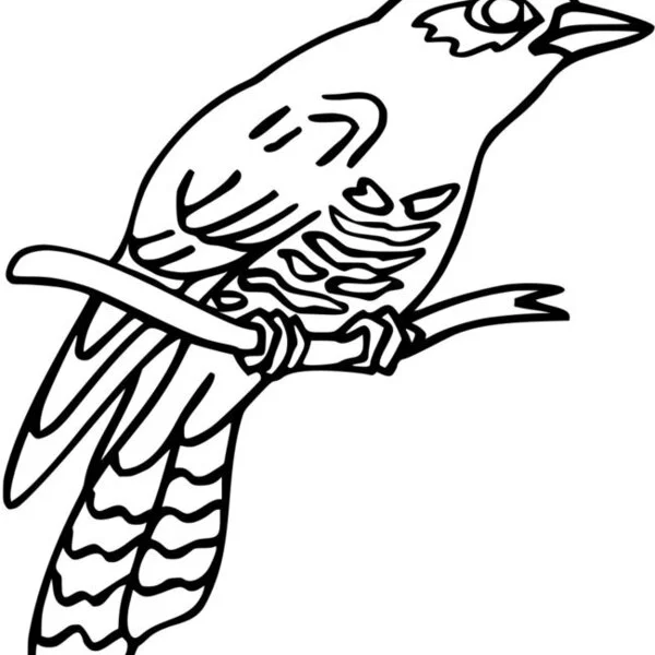 пример раскраски ножи стандофф