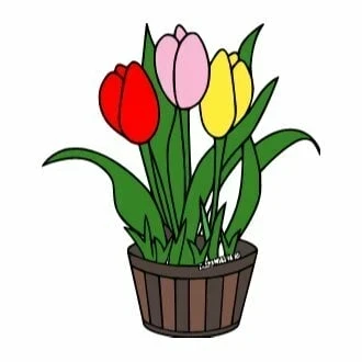 Цветной вариант раскраски тюльпаны в горшке