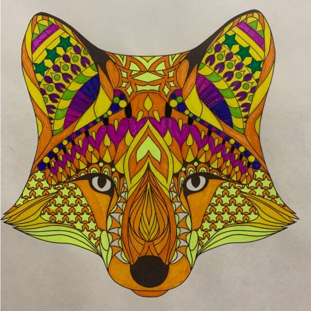 пример раскраски лиса голова