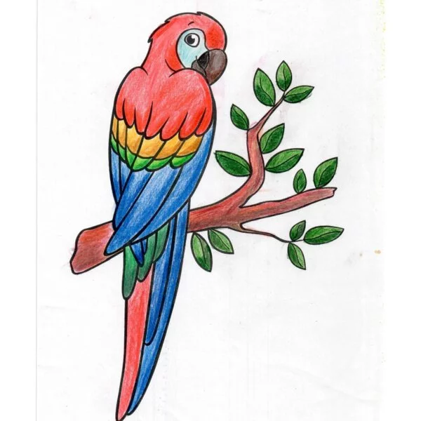 Цветной вариант раскраски попугай настоящий