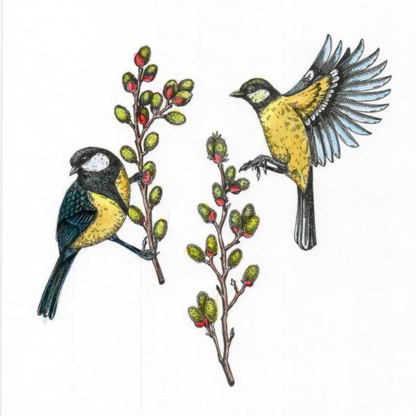 Цветной вариант раскраски синички весной