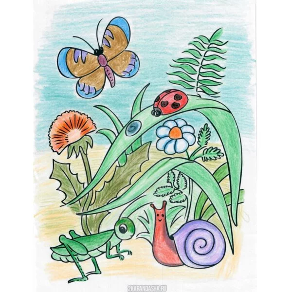 Цветной вариант раскраски живая природа летом
