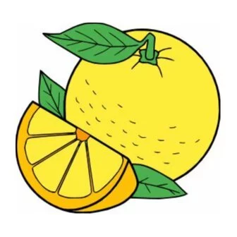 пример раскраски сочный апельсин